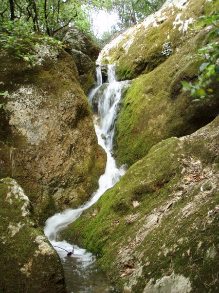 L'eau !