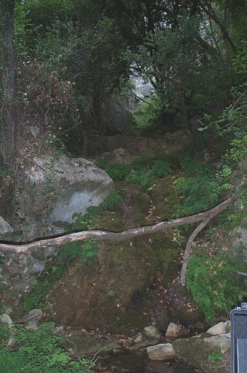 les lieux